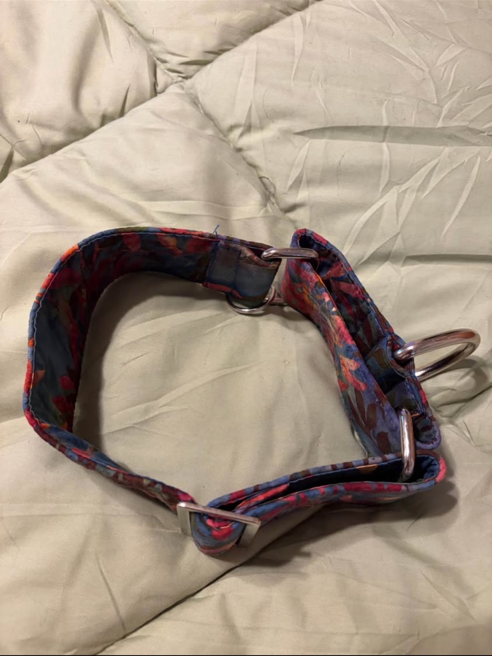 Two 2” martingale dog collars and 4’ leash. 14-18” neck. Greyhound or whippet - Picture 8 of 9